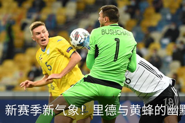 新赛季新气象！里德与黄蜂的幽默初遇